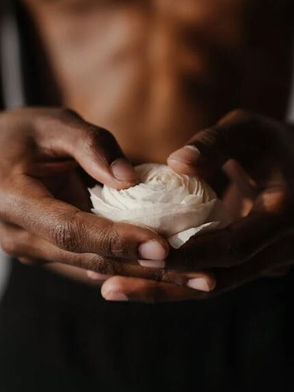 Close-up of hands gently holding a white rose.